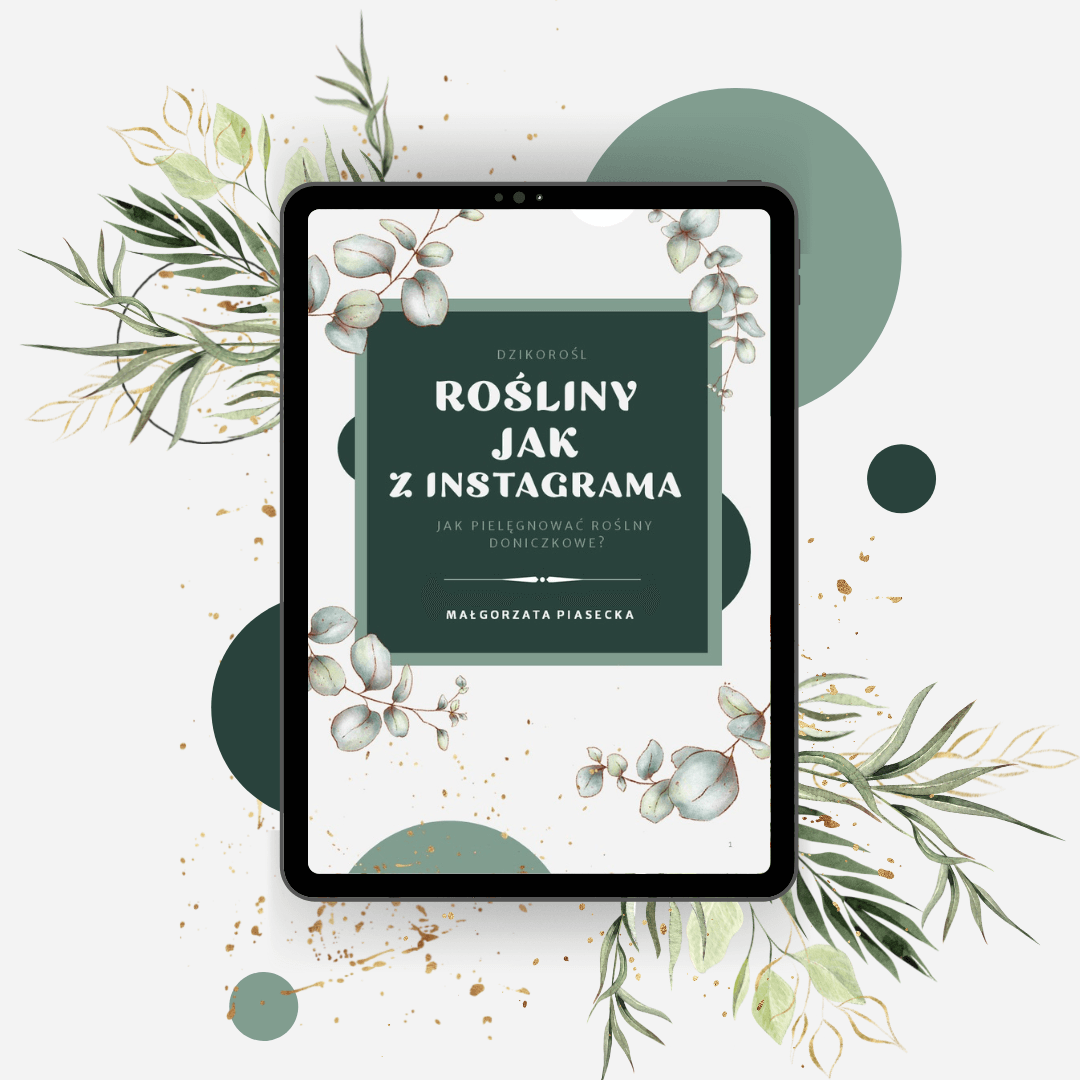 eBook Jak dbać o rośliny eBook "Rośliny jak z Instagrama. Jak pielęgnować rośliny doniczkowe" to świetna pozycja dla osób rozpoczynających swoją przygodę z roślinami